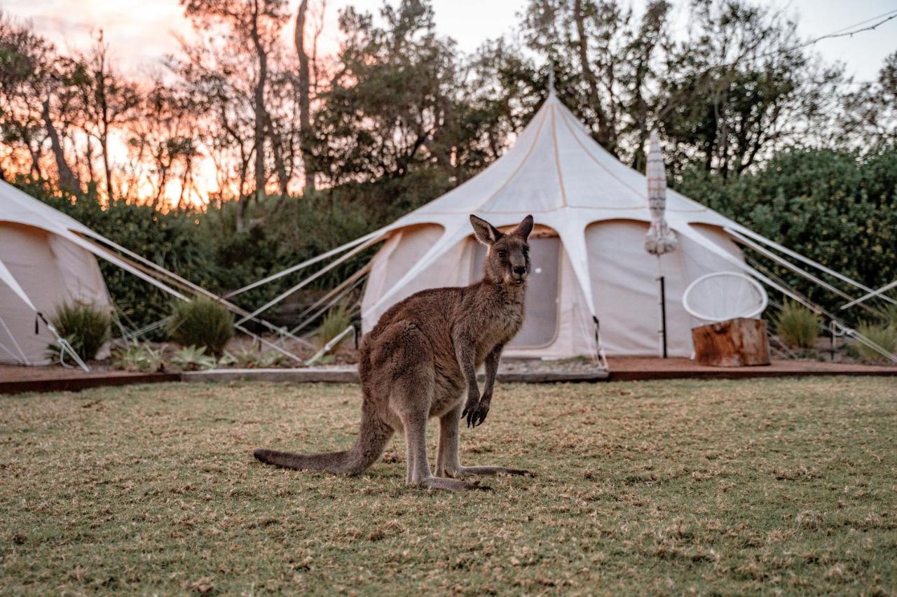 The Cove Jervis Bay Exterior photo